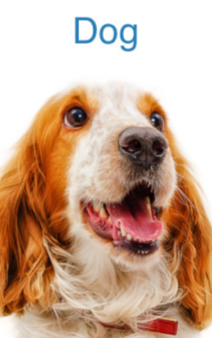 image-20251103200754374